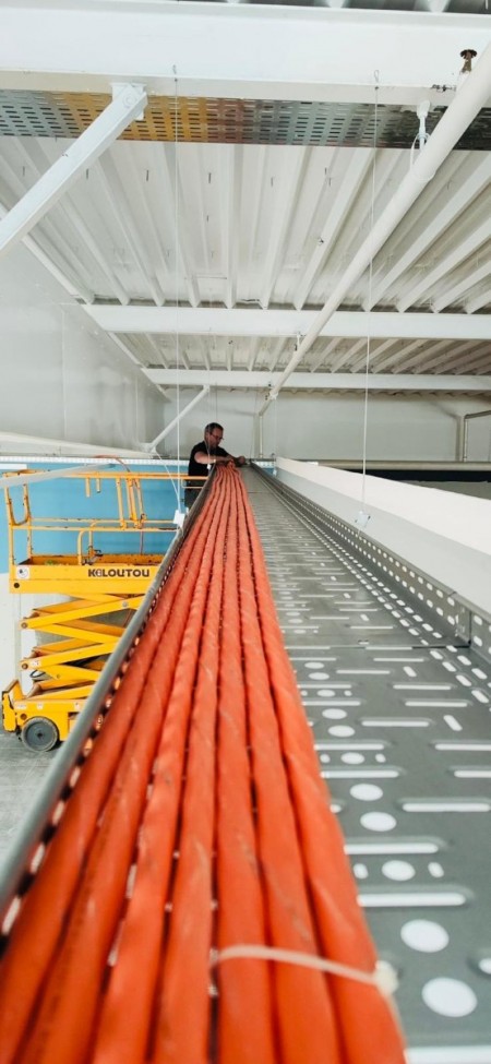 WhatsApp Image 2025-10-29 at 12.07.47 (40).jpeg