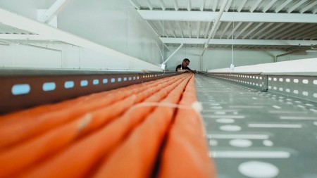 WhatsApp Image 2025-10-29 at 12.07.47 (41).jpeg